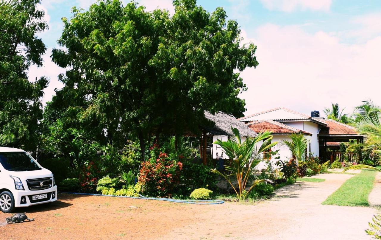 Prime Surfers Bungalow 아루감 베이 외부 사진