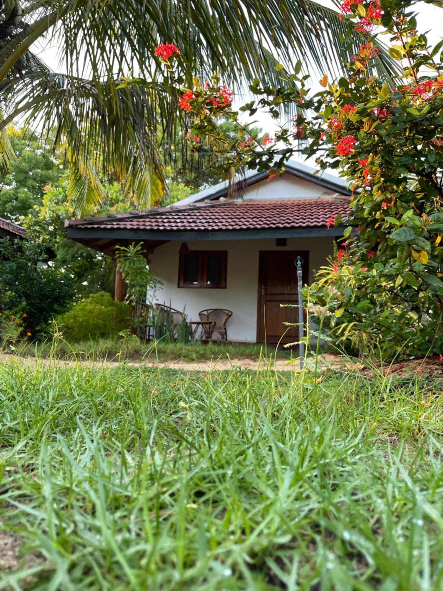 Prime Surfers Bungalow 아루감 베이 외부 사진